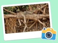 Foto van de dag: Flora & Fauna #022