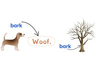 Multiple meaning words: bark, bat, play, sink