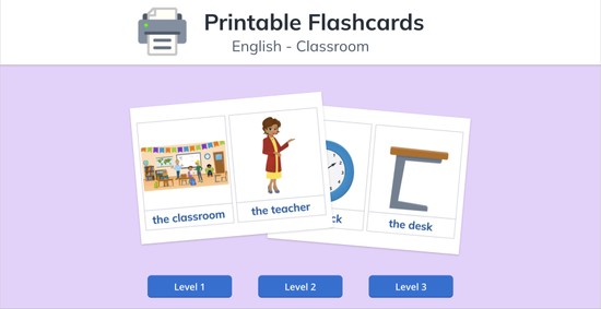 Vocabulary Flash Cards