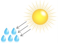Effect of sunlight on water