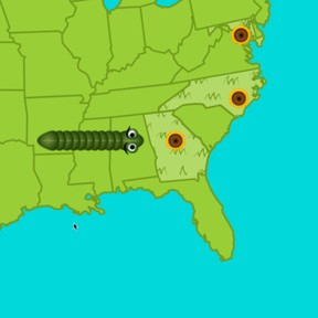 Snake: US States and Capitals