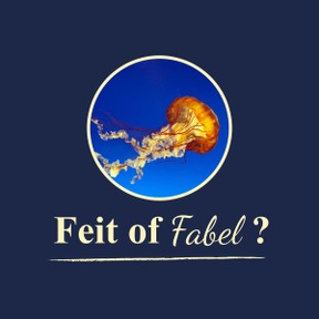 Feit of Fabel: Plassen op een kwallensteek?