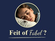 Feit of Fabel: Eet je spinnen in je slaap?