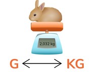 Omrekenen van g en kg met kommagetallen