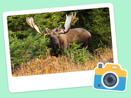 Foto van de dag: Flora & Fauna #022