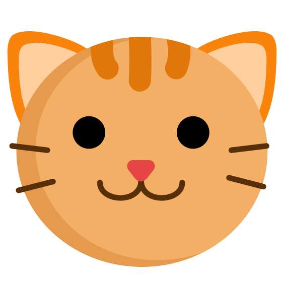 Kop van een kat