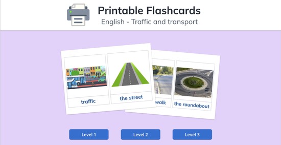 Vocabulary Flash Cards