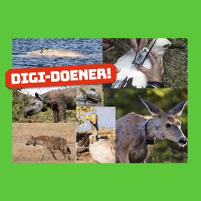 Digi-doener: Digitale dierenbescherming