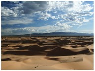 Desert habitats