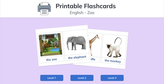 Vocabulary Flash Cards