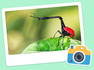 Foto van de dag: Flora & Fauna #019