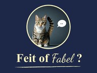 Feit of Fabel: Katten praten met hun staart