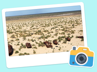 Foto van de dag: Wereldplekken #082