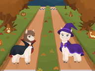 Alpaca-race