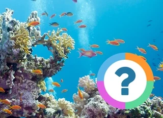 Classroom Quiz: Animals- Fish