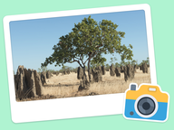 Foto van de dag: Flora & Fauna #020