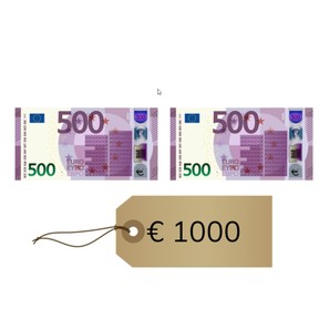 Gepast betalen van hele bedragen t/m 1000 euro