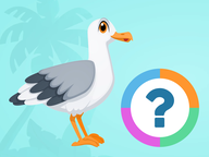 Klassenquiz: Zomer - Dierenweetjes