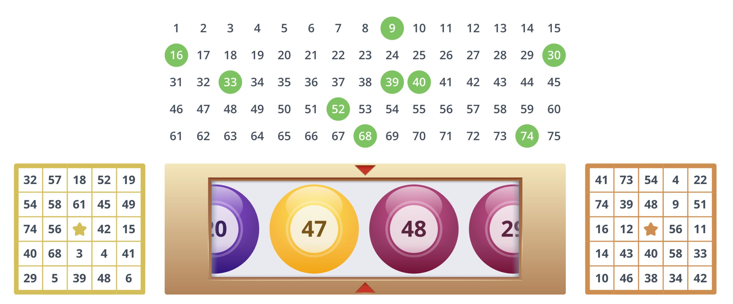 bingo example bingo example