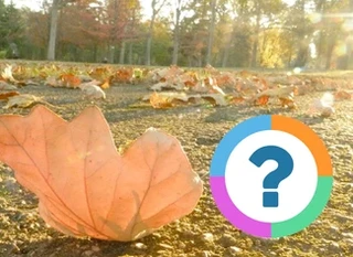 Classroom Quiz: Seasons- Fall
