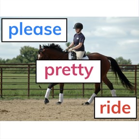 Dolch sight words: please, pretty, ride