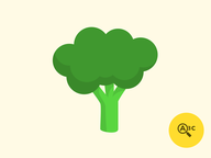 Taalontdekkers: Groente