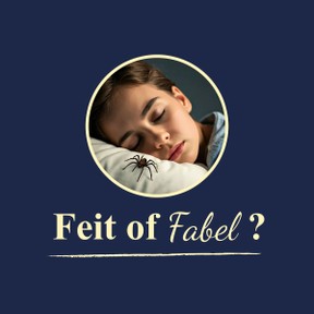 Feit of Fabel: Eet je spinnen in je slaap?