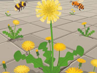 Leestekst Lente - Onkruid bestaat niet