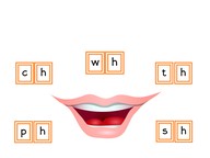 Review consonant digraphs (sh, th, ch, wh, ph)