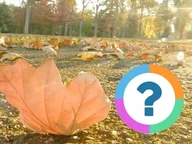 Classroom Quiz: Seasons- Fall