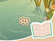 Leestekst Lente - Van dril tot sprong