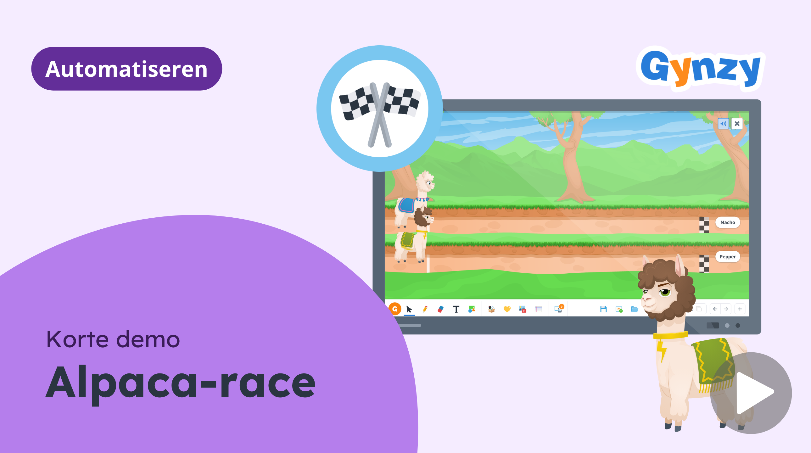 Alpaca race