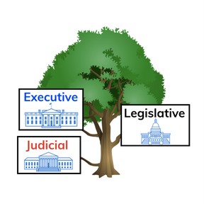 Explain the 3 Branches of Government