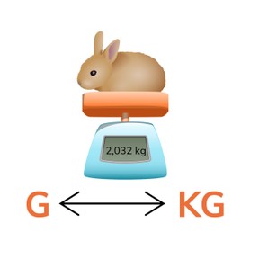Omrekenen van g en kg met kommagetallen