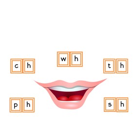 Review consonant digraphs (sh, th, ch, wh, ph)