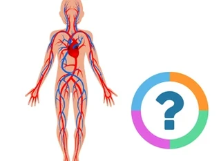 Klassrums-quiz: Naturen - Den Mänskliga Kroppen