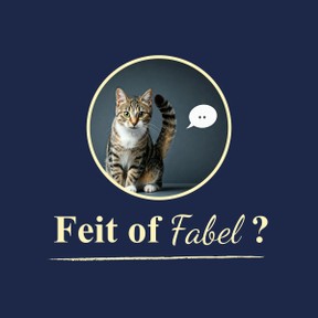Feit of Fabel: Katten praten met hun staart