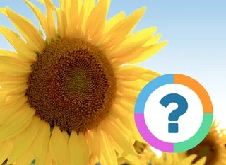 Classroom Quiz: Nature- Trees and flowers